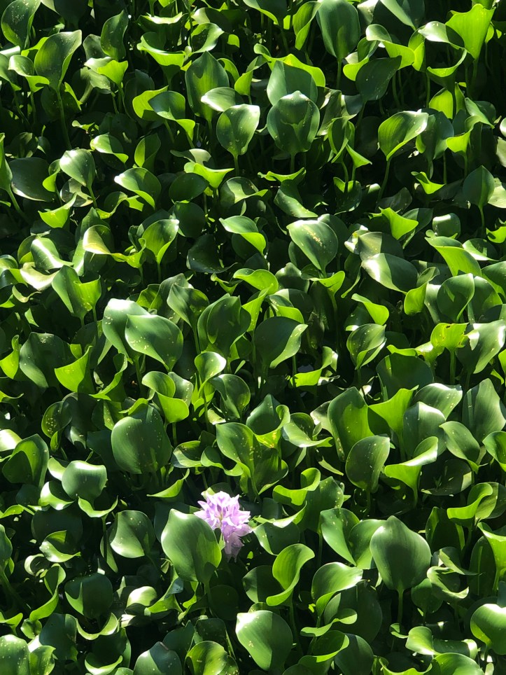 CAE3B55E-6D60-49B0-86D4-7F0B3E8F3168