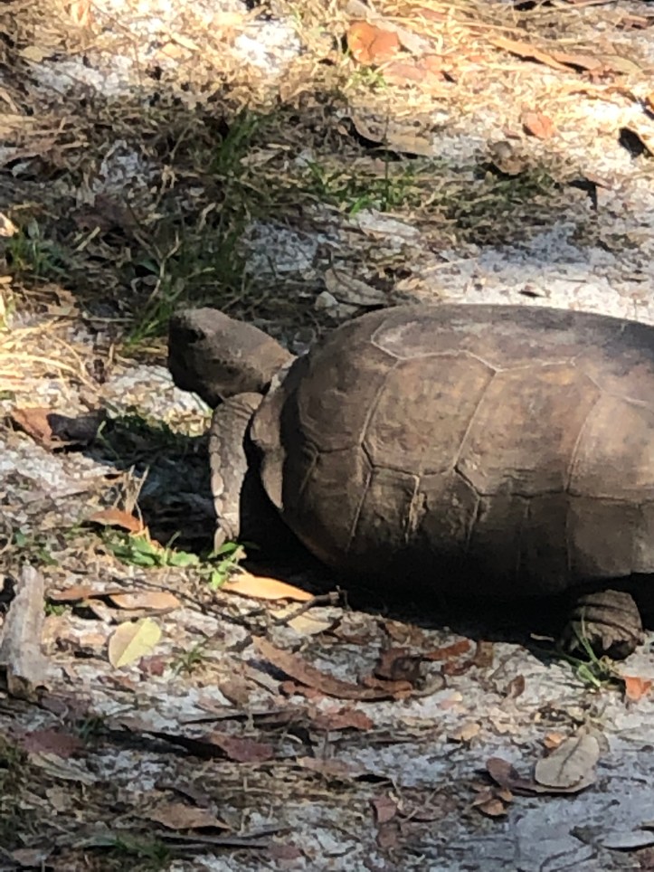 F9CEEE16-9497-4F24-8B86-8B5FC65DFD48