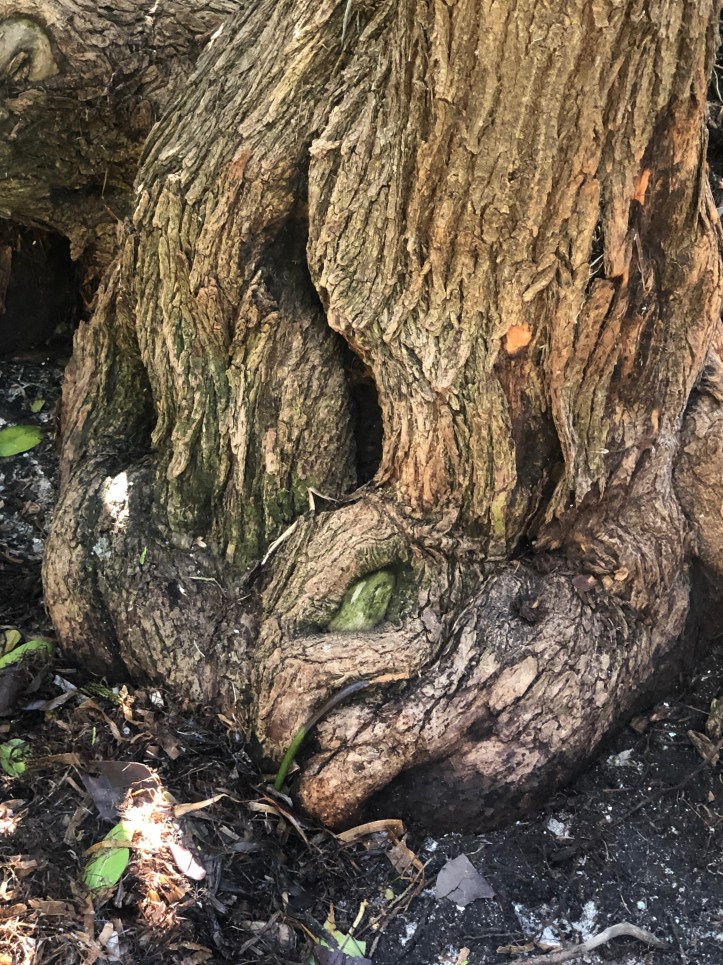 5842F09B-DA35-4966-A3EC-5BD3A92EA4D7