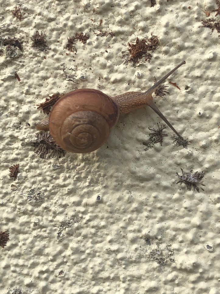 58A41439-50AE-4FAA-BAD4-76FFCEF0496B