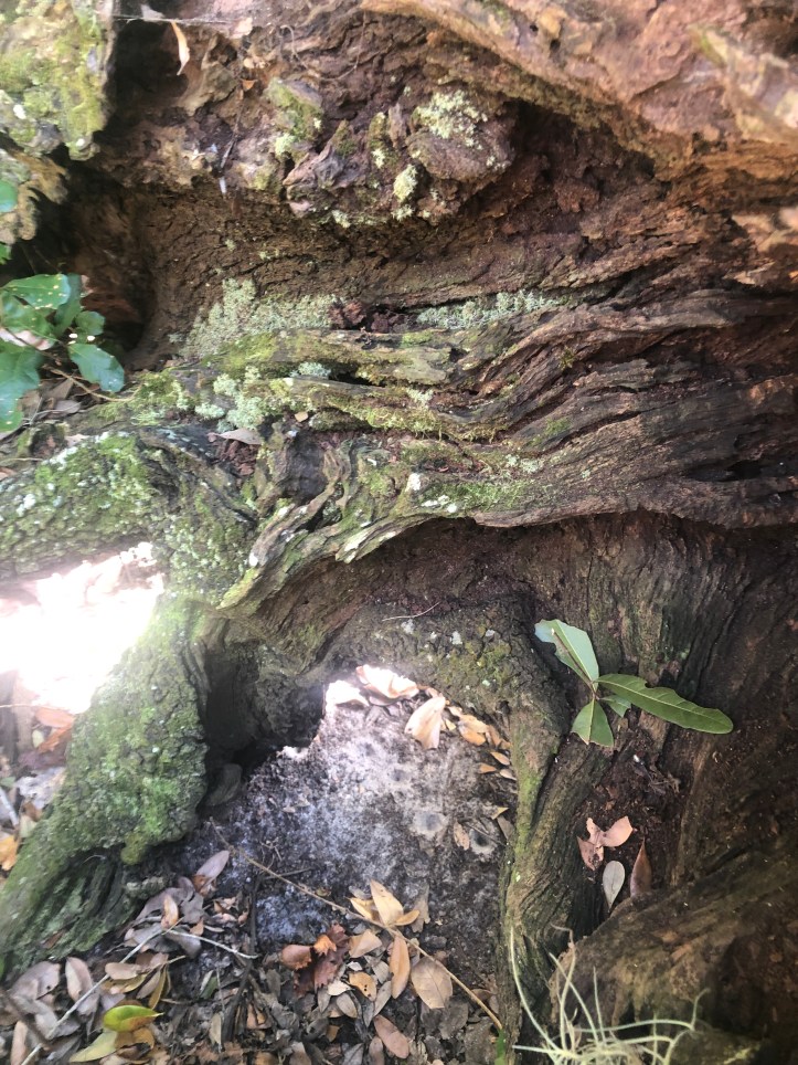 95CA5710-A515-428C-8706-5E64E503228A