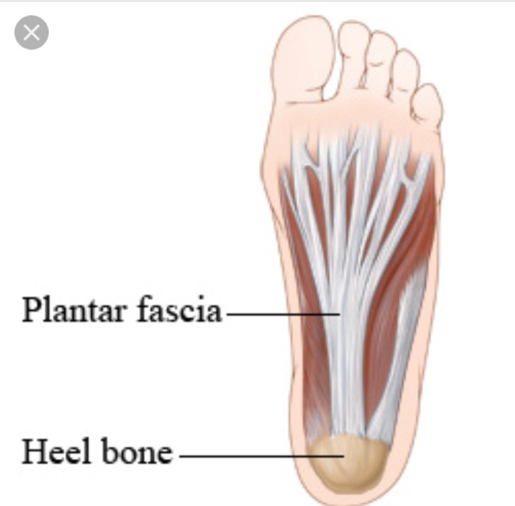 7374A8EC-4224-44C7-83FA-A2B53A07640B