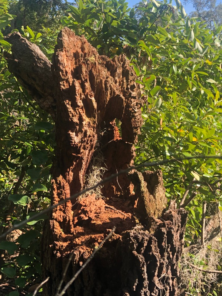 4CD1B313-A54E-4B0E-AAF4-971C27787DC8