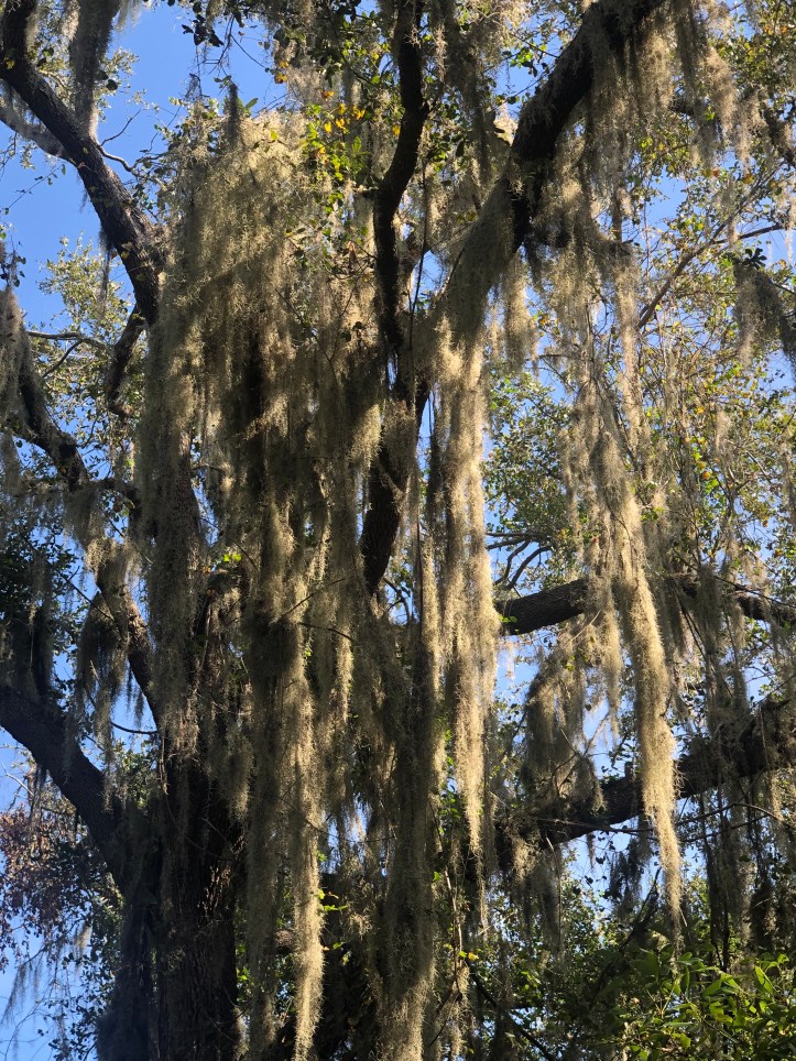 775663B5-F67B-45F7-863A-580D776C660B