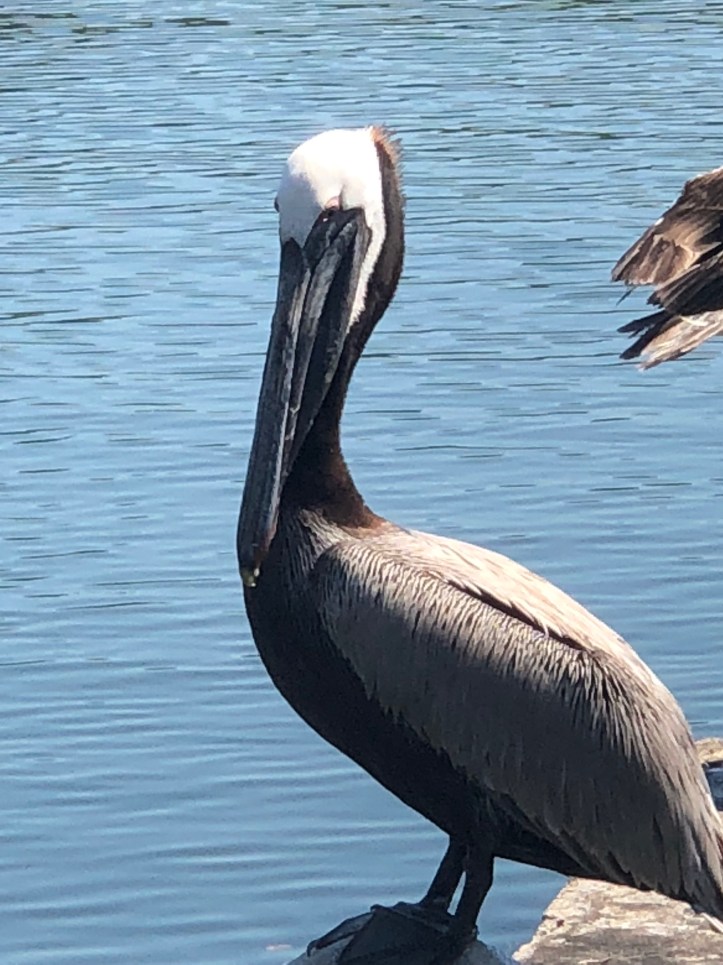 3F026F1A-0608-4073-98BB-55B3CDBA5538