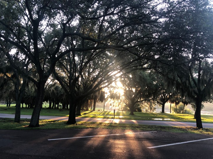 4206FF5E-0176-47B1-9570-9F44B7F43023